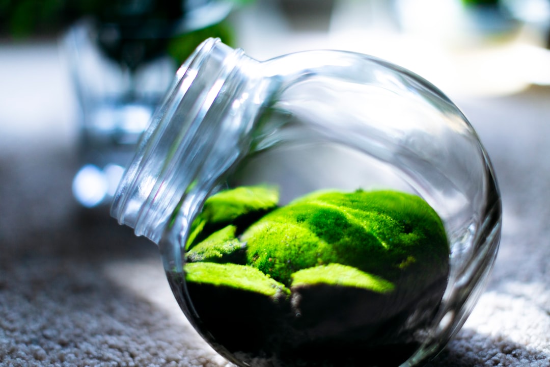 5 Common Mistakes with Live Moss Varieties & Moisture (And How to Avoid Them)