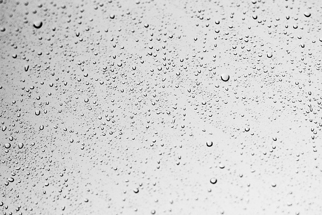 My Field Guide to Sealing, Lighting & Condensation : What Actually Works