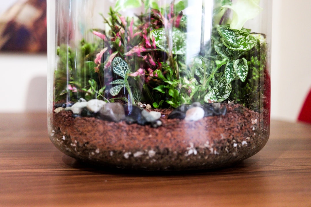 My Step-by-Step Blueprint for Live Moss Varieties & Moisture