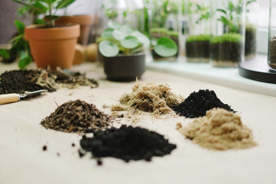 The Best Tools & Supplies I Actually Use for Bioactive Springtails & Cleanup