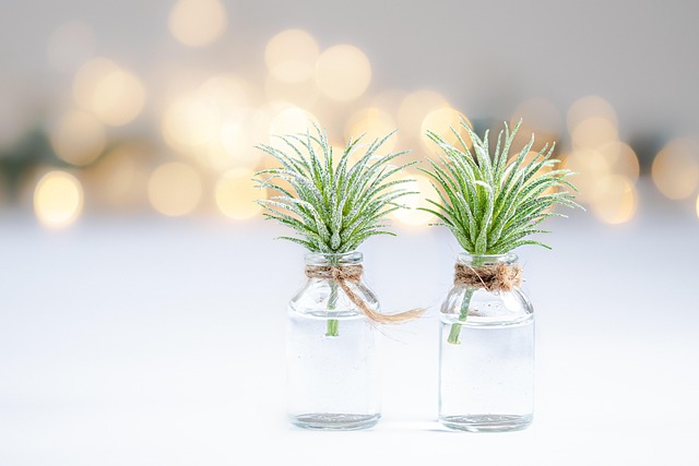 Troubleshooting Live Moss Varieties & Moisture : Diagnosing and Fixing Problems